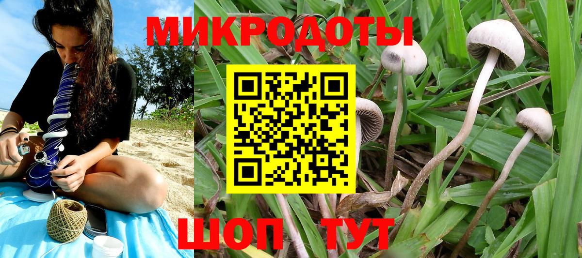 Псилоцибиновые грибы ЛСД  Псилоцибиновые грибы Cubensis  купить наркотик  Вход с VPN  Боровичи 