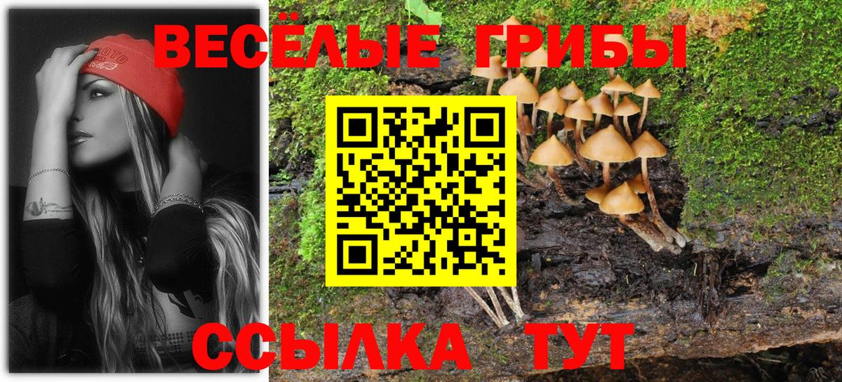 Галлюциногенные грибы Magic Shrooms Боровичи